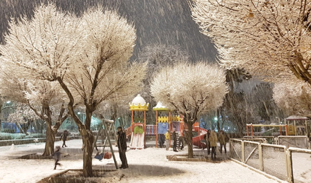 dekabrin-16-na-olan-hava-haqda-1