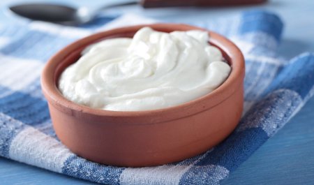 sumuk-toxumasini-yenileyen-qida-mueyyen-edilib