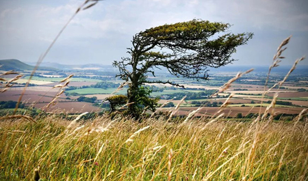 dekabrin-3-ne-olan-hava-haqda-1-2