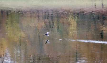 ilin-sonuncu-is-heftesinin-ilk-gunune-olan-hava