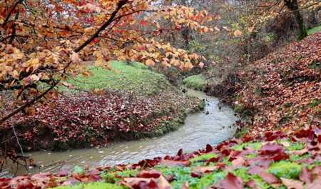 dekabrin-23-ne-olan-hava-proqnozu