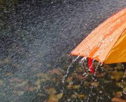 leysanla-bagli-xeberdarliq-edildi