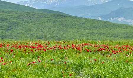aprelin-son-gunune-olan-hava-haqda