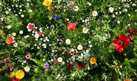 may-ayinin-ilk-gunu-hava