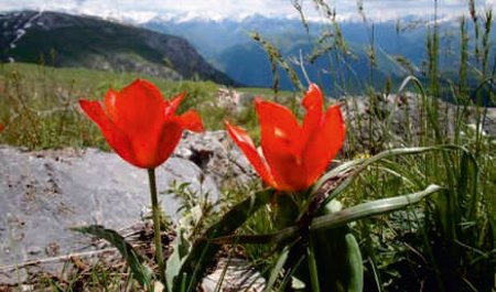 mayin-16-na-olan-hava-haqda