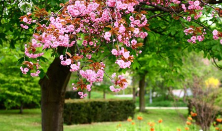 mayin-6-na-olan-hava-haqda-1