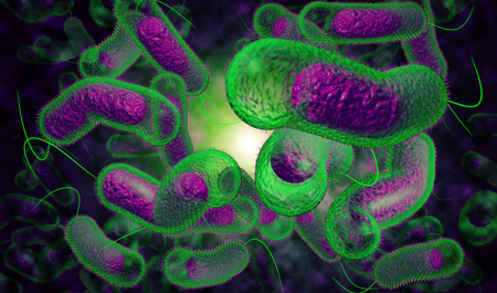 turkiyede-yayilan-vibrio-bakteriyasindaki-olduren-sebeb-nedir