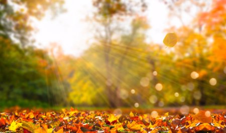 sentyabrin-23-ne-olan-hava-haqda-1